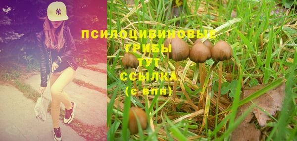 ПСИЛОЦИБИНОВЫЕ ГРИБЫ Нея